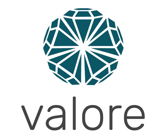 Valore-Logo_kolor-08